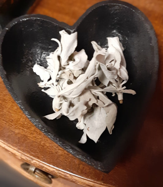 Loose white sage for cleansing